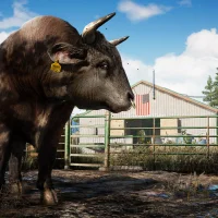 Far Cry 5 #12161
