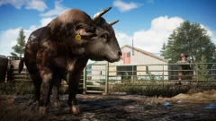 Screenshot Far Cry 5