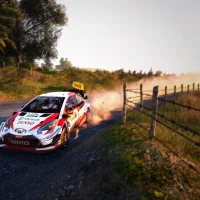 WRC 9 #37003