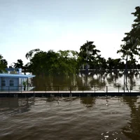 Ultimate Fishing Simulator #12802