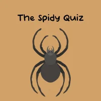 The Spidy Quiz #31737