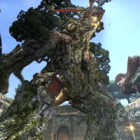 Dragon's Dogma Online #306