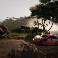 WRC 9 #37004