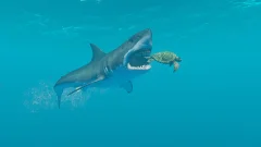 Screenshot Stranded Deep