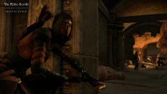 Screenshot The Elder Scrolls Online: Thieves Guild