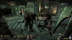 Screenshot Warhammer: End Times - Vermintide