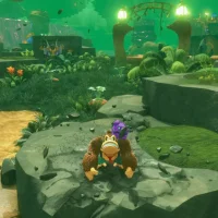 Donkey Kong Bananza #27231