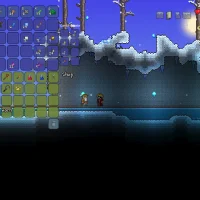 Terraria #29289