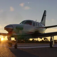 Microsoft Flight Simulator #14670