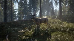 Screenshot theHunter: Call of the Wild