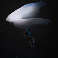 Endless Ocean: Luminous #24464