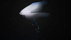 Screenshot Endless Ocean: Luminous