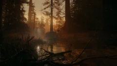 Screenshot Alan Wake II