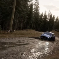 Assetto Corsa Rally #38448