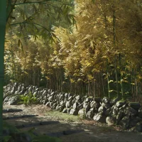 Assassin's Creed Shadows #26719
