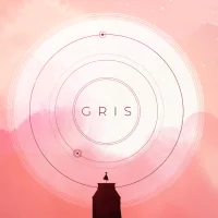Gris #41353
