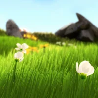 Flower #36758