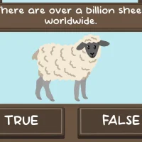 The Sheep Quiz #32244