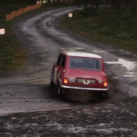 Assetto Corsa Rally #38445