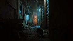 Screenshot Stray