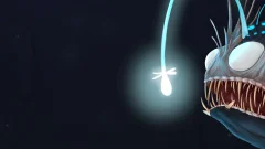 Screenshot AquaDream