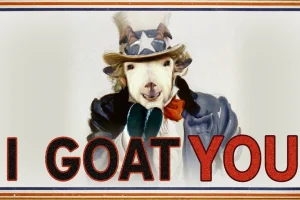 Goat of Duty