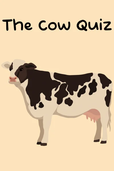 The Cow Quiz