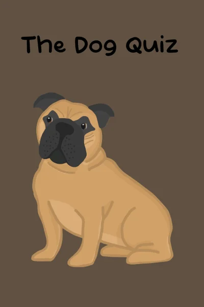 The Dog Quiz