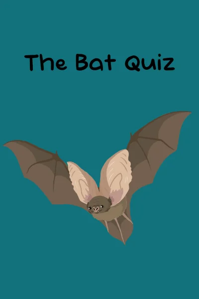 The Bat Quiz