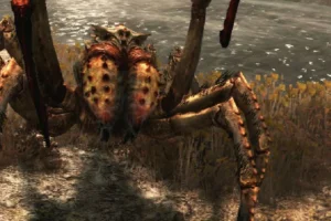 The Elder Scrolls: Skyrim VR