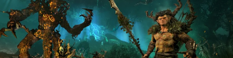 Total War: Warhammer - Realm of the Wood Elves