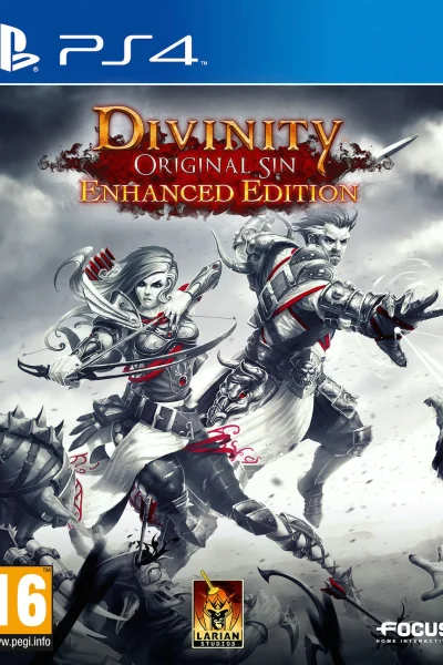 Divinity: Original Sin Enhanced Edition