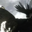 The Last Guardian sarà all'E3?