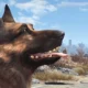 Dogmeat in Fallout 4 non può morire conferma Bethesda