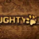 Uncharted 5 potrebbe diventare realtà, ma non sviluppato da Naughty Dog