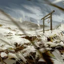 Fantastica concept art di ghost of tsushima