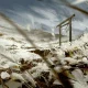 Fantastica concept art di ghost of tsushima