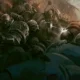 Un trailer ci mostra la nuova mappa di Warhammer 40,000: Eternal Crusade