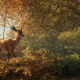 theHunter: Call of the Wild arriverà anche su PlayStation 4 e Xbox One