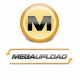 Megaupload il processo infinito