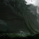 Crytek annuncia Robinson: The Jorney