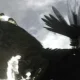 Il team di Knack corsi in soccorso per concludere lo sviluppo di The Last Guardian