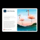 Photoshop 2021 (v22.0) rilasciato