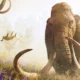 Prime immagini per Far Cry: Primal
