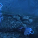 The Vanishing of Ethan Carter è disponibile anche in Unreal Engine 4 su computer