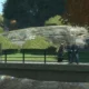 Liberty City poteva essere l'ambientazione del DLC single player di Grand Theft Auto V