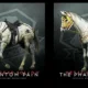 Svelati i primi DLC di Metal Gear Solid V: The Phantom Pain?