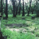 P.T. è stato rimosso dal PlayStation Store, ma è ancora possibile recuperarlo