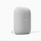 Google nest audio