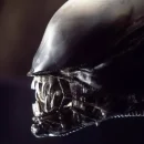 Crossover di alien in fortnite?